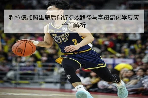 利拉德加盟雄鹿后挡拆提效路径与字母哥化学反应全面解析